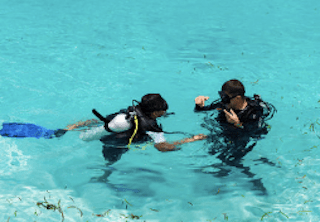 padi diving open dive