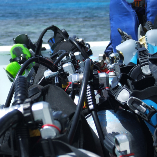 Learn about the PADI Rescue Diver course